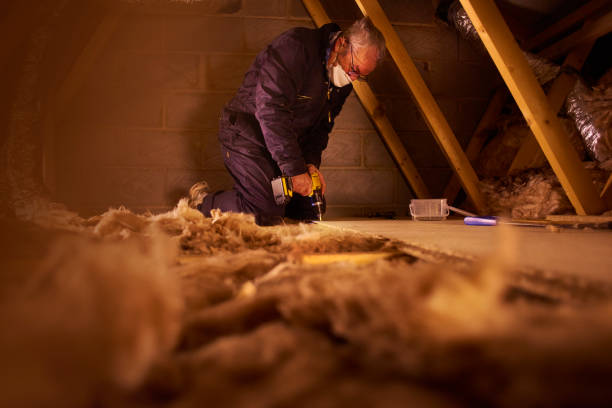Best Commercial Insulation in Woodbranch, TX